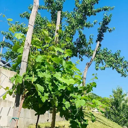 Dovolena Bez Starosti - U Venuse * Pavlov